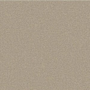 Quiet Texture