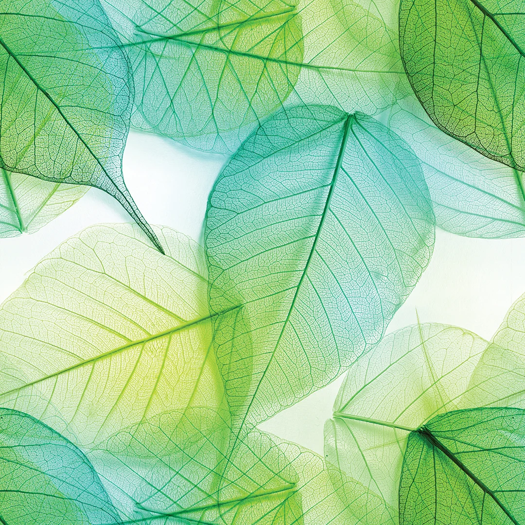Pastel Veins - Image 3