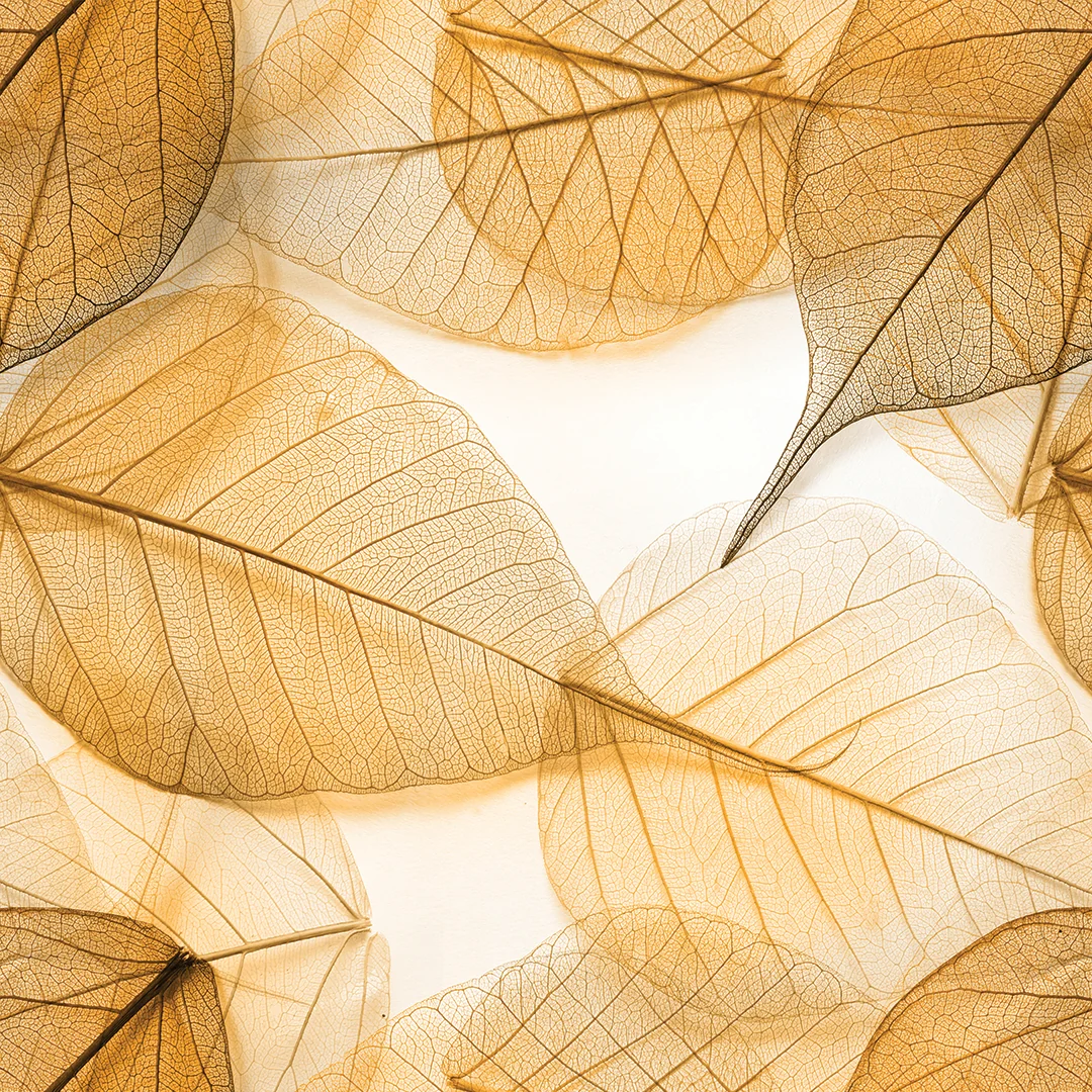 Pastel Veins - Image 4